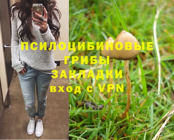 МДПВ Лагань