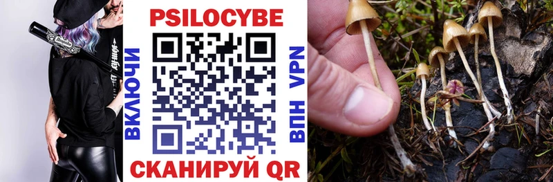 Псилоцибиновые грибы мухоморы продажа наркотиков Мглин