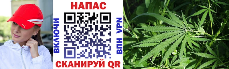 что такое наркотик  Мглин  Марихуана план 